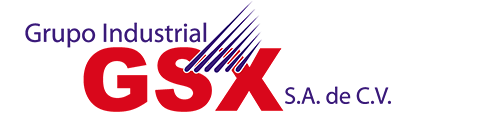 Grupo Industrial GSX, S.A. de C.V.